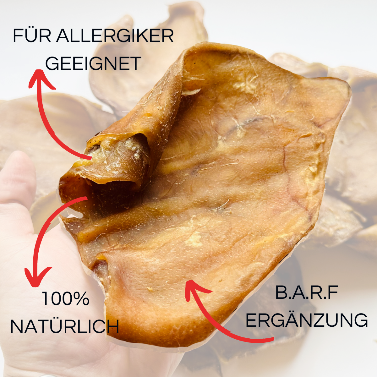 Piggybacking Pork Ears (10 Stück)